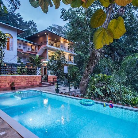 Spice Jungle Resort Munnar Zewnętrze zdjęcie