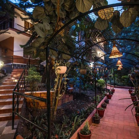 Spice Jungle Resort Munnar Zewnętrze zdjęcie