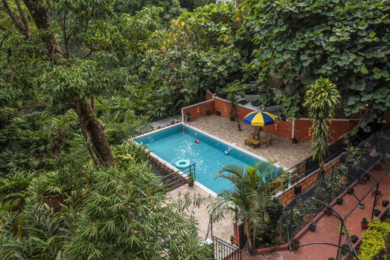 Spice Jungle Resort Munnar Zewnętrze zdjęcie