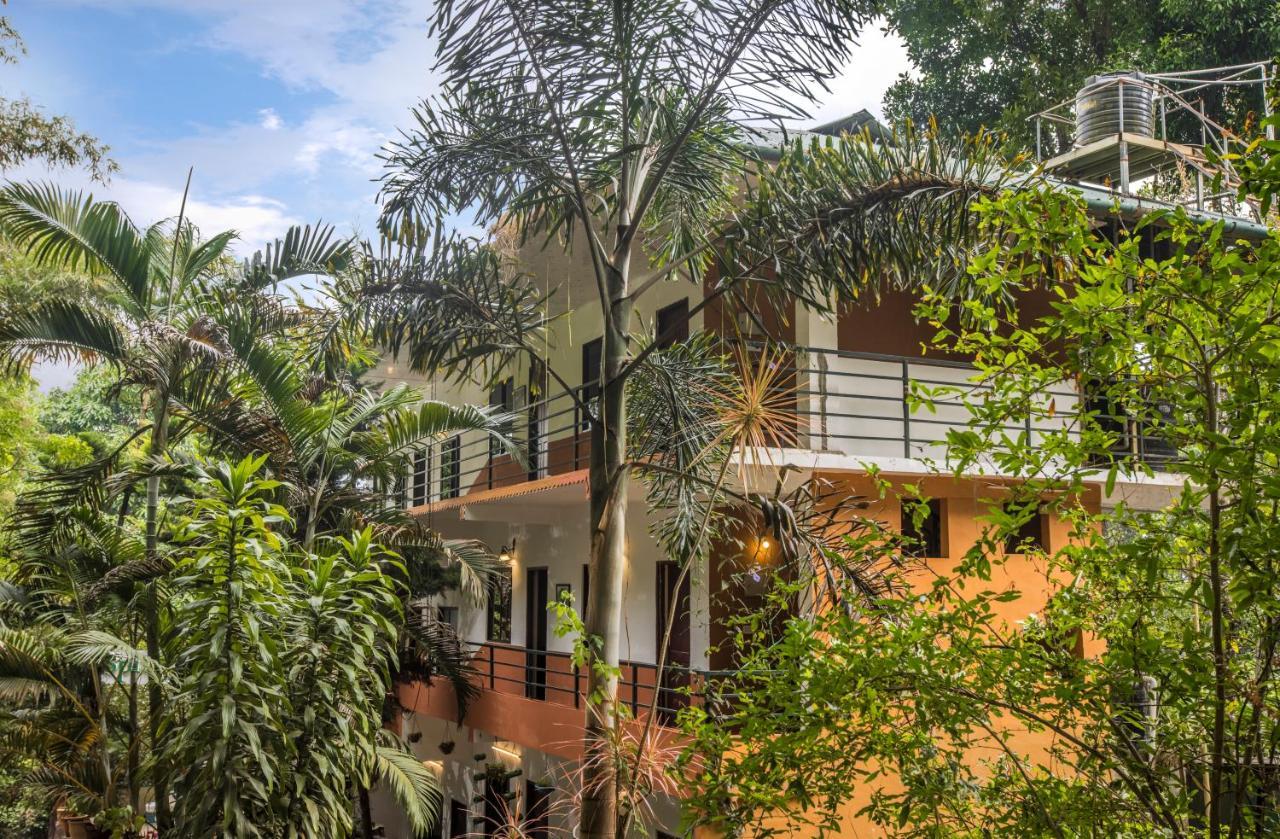Spice Jungle Resort Munnar Zewnętrze zdjęcie